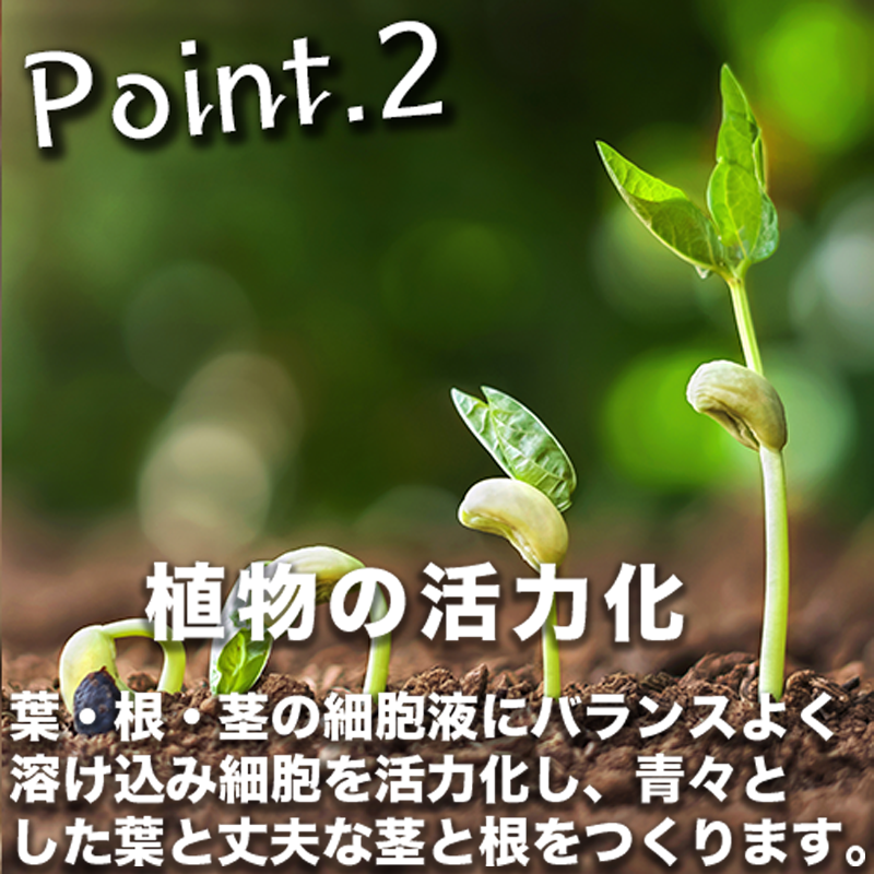 グループコンテンツ画像02